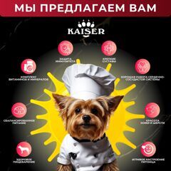 МИНИПАЧКА Низкозерновой запеченный сухой корм для собак мелких пород KAISER Говядина и Овощи - "Повышенная питательность" 200 гр