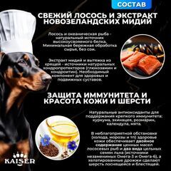 Низкозерновой запеченный сухой корм KAISER для взрослых собак средних и крупных пород Лосось и лен - "Красота кожи и шерсти" 15 кг