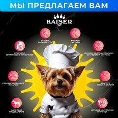 МИНИПАЧКА Низкозерновой запеченный сухой корм для собак мелких пород KAISER Лосось и Лен - "Красота кожи и шерсти" 200 гр