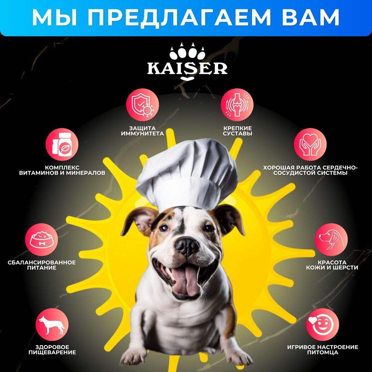 МИНИПАЧКА Низкозерновой запеченный сухой корм KAISER для взрослых собак средних и крупных пород Лосось и лен - "Красота кожи и шерсти" 200 гр